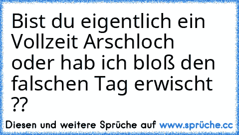 Bist du eigentlich ein Vollzeit Arschloch – oder hab ich bloß den falschen Tag erwischt ??