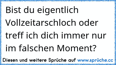 Bist du eigentlich Vollzeitarschloch oder treff ich dich immer nur im falschen Moment?