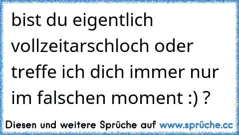 bist du eigentlich vollzeitarschloch oder treffe ich dich immer nur im falschen moment :) ?