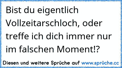 Bist du eigentlich Vollzeitarschloch, oder treffe ich dich immer nur im falschen Moment!?