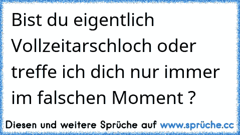 Bist du eigentlich Vollzeitarschloch oder treffe ich dich nur immer im falschen Moment ?