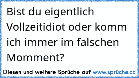 Bist du eigentlich Vollzeitidiot oder komm ich immer im falschen Momment?