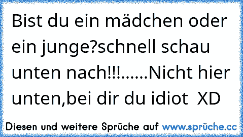 Bist du ein mädchen oder ein junge?
schnell schau unten nach!!!
...
...
Nicht hier unten,bei dir du idiot  XD