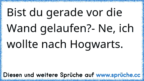 Bist du gerade vor die Wand gelaufen?- Ne, ich wollte nach Hogwarts.