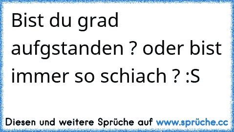 Bist du grad aufgstanden ? oder bist immer so schiach ? :S