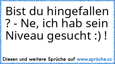 Bist du hingefallen ?
 - Ne, ich hab sein Niveau gesucht :) !