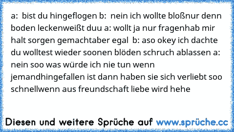 a:  bist du hingeflogen 
b:  nein ich wollte bloß
nur denn boden lecken
weißt duu 
a: wollt ja nur fragen
hab mir halt sorgen gemacht
aber egal  
b: aso okey ich dachte du wolltest wieder soonen blöden schruch ablassen 
a: nein soo was würde ich nie tun wenn jemand
hingefallen ist 
dann haben sie sich verliebt soo schnell
wenn aus freundschaft liebe wird hehe ♥