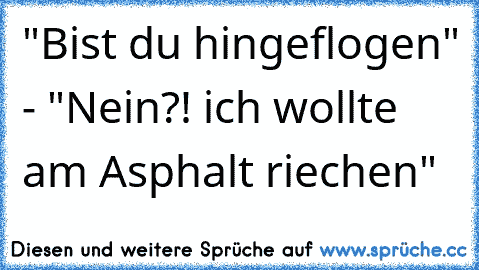 "Bist du hingeflogen" - "Nein?! ich wollte am Asphalt riechen"