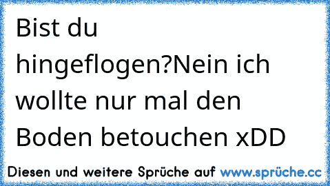 Bist du hingeflogen?
Nein ich wollte nur mal den Boden betouchen xDD