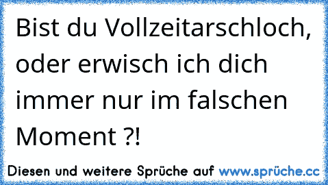 Bist du Vollzeitarschloch, oder erwisch ich dich immer nur im falschen Moment ?!