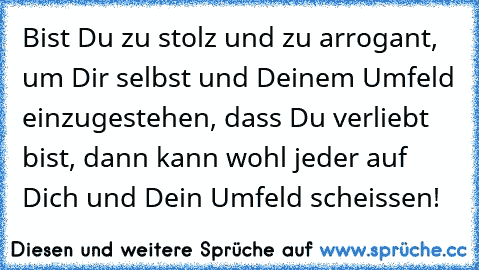 Bist Du zu stolz und zu arrogant, um Dir selbst und Deinem Umfeld einzugestehen, dass Du verliebt bist, dann kann wohl jeder auf Dich und Dein Umfeld scheissen!