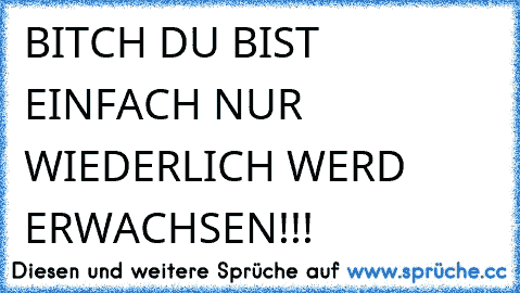 BITCH DU BIST EINFACH NUR WIEDERLICH WERD ERWACHSEN!!!