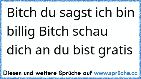 Bitch du sagst ich bin billig Bitch schau dich an du bist gratis