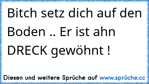 Bitch setz dich auf den Boden .. Er ist ahn DRECK gewöhnt !