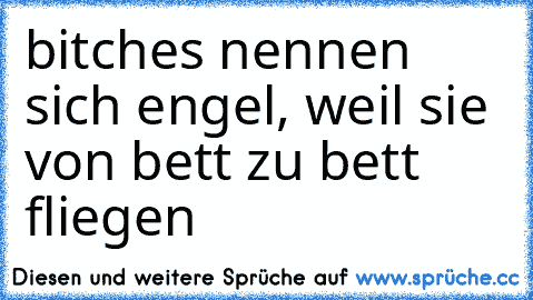 bitches nennen sich engel, weil sie von bett zu bett fliegen