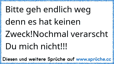 Bitte geh endlich weg denn es hat keinen Zweck!Nochmal verarscht Du mich nicht!!!