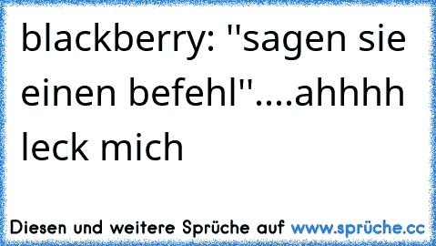 blackberry: ''sagen sie einen befehl''....ahhhh leck mich