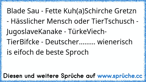 Blade Sau - Fette Kuh(a)
Schirche Gretzn - Hässlicher Mensch oder Tier
Tschusch - Jugoslave
Kanake - Türke
Viech- Tier
Bifcke - Deutscher
......... wienerisch is eifoch de beste Sproch