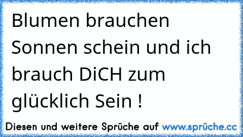 Blumen brauchen Sonnen schein und ich brauch DiCH zum glücklich Sein ! ♥