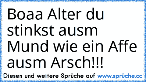 Boaa Alter du stinkst ausm Mund wie ein Affe ausm Arsch!!!