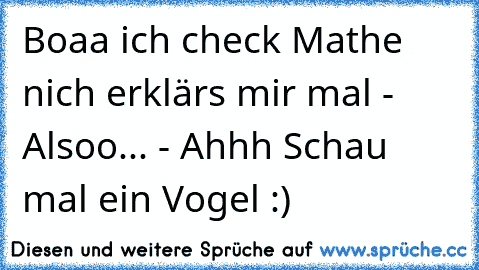 Boaa ich check Mathe nich erklärs mir mal - Alsoo... - Ahhh Schau mal ein Vogel :)