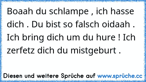 Boaah du schlampe , ich hasse dich . Du bist so falsch oidaah . Ich bring dich um du hure ! Ich zerfetz dich du mistgeburt .