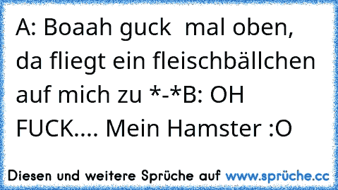 A: Boaah guck  mal oben, da fliegt ein fleischbällchen auf mich zu *-*
B: OH FUCK.... Mein Hamster :O