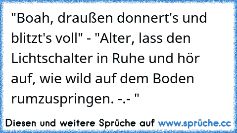 "Boah, draußen donnert's und blitzt's voll" - "Alter, lass den Lichtschalter in Ruhe und hör auf, wie wild auf dem Boden rumzuspringen. -.- "