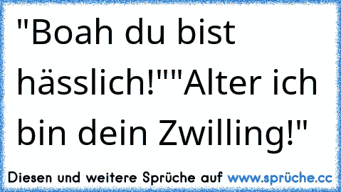 "Boah du bist hässlich!"
"Alter ich bin dein Zwilling!"