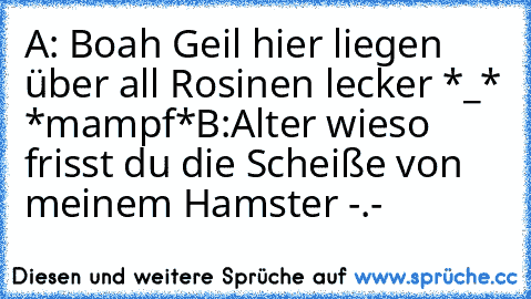 A: Boah Geil hier liegen über all Rosinen lecker *_* *mampf*
B:Alter wieso frisst du die Scheiße von meinem Hamster -.-