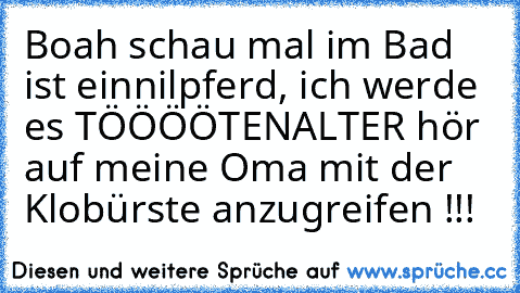 Boah schau mal im Bad ist einnilpferd, ich werde es TÖÖÖÖTEN
ALTER hör auf meine Oma mit der Klobürste anzugreifen !!!