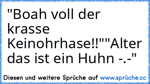 "Boah voll der krasse Keinohrhase!!"
"Alter das ist ein Huhn -.-"