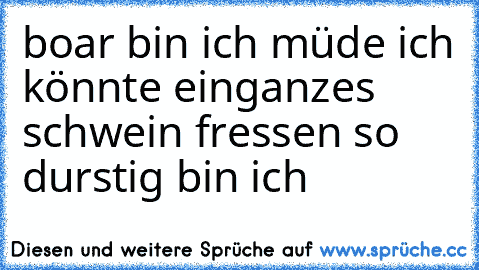 boar bin ich müde ich könnte einganzes schwein fressen so durstig bin ich