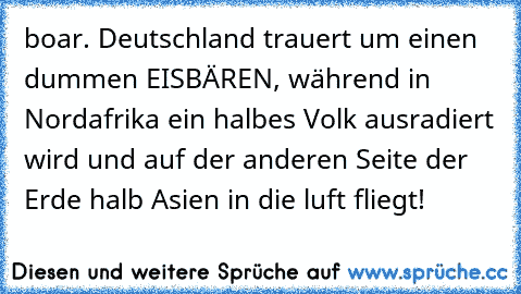 boar. Deutschland trauert um einen dummen EISBÄREN, während in Nordafrika ein halbes Volk ausradiert wird und auf der anderen Seite der Erde halb Asien in die luft fliegt!