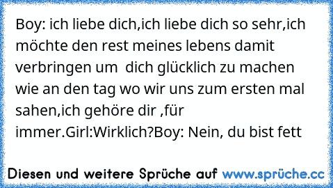 Boy: ich liebe dich,ich liebe dich so sehr,ich möchte den rest meines lebens damit verbringen um  dich glücklich zu machen wie an den tag wo wir uns zum ersten mal sahen,ich gehöre dir ,für immer.
Girl:Wirklich?
Boy: Nein, du bist fett