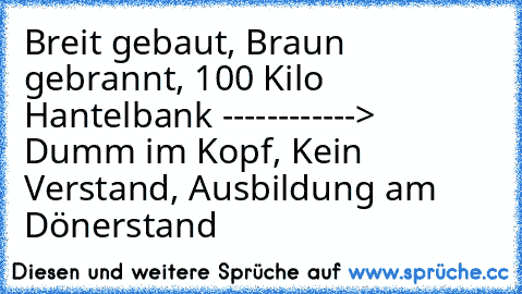 Breit gebaut, Braun gebrannt, 100 Kilo Hantelbank ------------> Dumm im Kopf, Kein Verstand, Ausbildung am Dönerstand