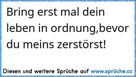 Bring erst mal dein leben in ordnung,bevor du meins zerstörst!