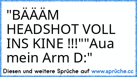 "BÄÄÄM HEADSHOT VOLL INS KINE !!!"
"Aua mein Arm D:"