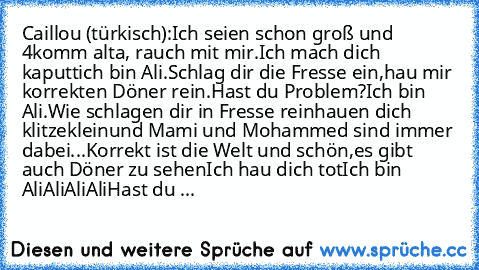 Caillou (türkisch):
Ich seien schon groß und 4
komm alta, rauch mit mir.
Ich mach dich kaputt
ich bin Ali.
Schlag dir die Fresse ein,
hau mir korrekten Döner rein.
Hast du Problem?
Ich bin Ali.
Wie schlagen dir in Fresse rein
hauen dich klitzeklein
und Mami und Mohammed sind immer dabei...
Korrekt ist die Welt und schön,
es gibt auch Döner zu sehen
Ich hau dich tot
Ich bin Ali
Ali
Ali
Ali
Hast du ...