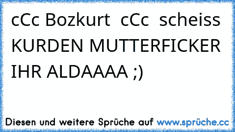 cCc Bozkurt  cCc  scheiss KURDEN MUTTERFICKER IHR ALDAAAA ;)