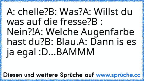 A: chelle?
B: Was?
A: Willst du was auf die fresse?
B : Nein?!
A: Welche Augenfarbe hast du?
B: Blau.
A: Dann is es ja egal :D
...BAMMM