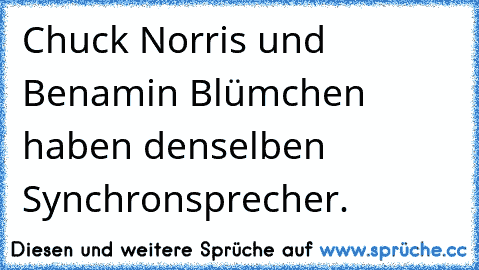 Chuck Norris und Benamin Blümchen haben denselben Synchronsprecher.