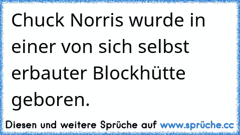 Chuck Norris wurde in einer von sich selbst erbauter Blockhütte geboren.