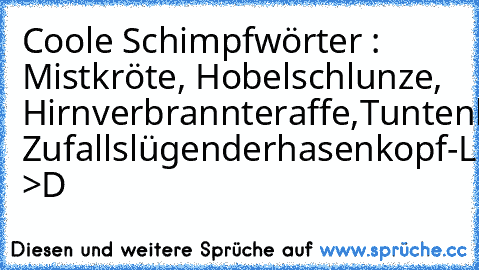 Coole Schimpfwörter : Mistkröte, Hobelschlunze, Hirnverbrannteraffe,Tuntenbörse, Zufallslügenderhasenkopf-Like >D