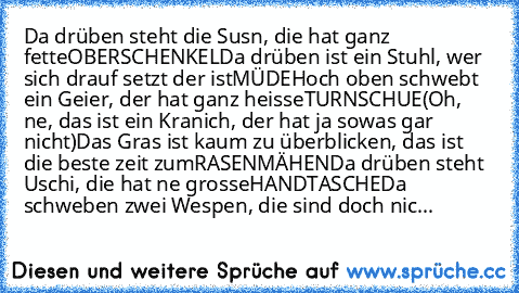 Da drüben steht die Susn, die hat ganz fette
OBERSCHENKEL
Da drüben ist ein Stuhl, wer sich drauf setzt der ist
MÜDE
Hoch oben schwebt ein Geier, der hat ganz heisse
TURNSCHUE
(Oh, ne, das ist ein Kranich, der hat ja sowas gar nicht)
Das Gras ist kaum zu überblicken, das ist die beste zeit zum
RASENMÄHEN
Da drüben steht Uschi, die hat ne grosse
HANDTASCHE
Da schweben zwei Wespen, die sind doch ...