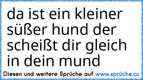 da ist ein kleiner süßer hund der scheißt dir gleich in dein mund