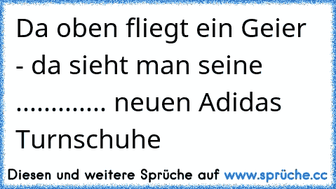 Da oben fliegt ein Geier - da sieht man seine ............. neuen Adidas Turnschuhe