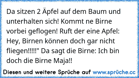 Da sitzen 2 Äpfel auf dem Baum und unterhalten sich! Kommt ne Birne vorbei geflogen! Ruft der eine Apfel: Hey, Birnen können doch gar nicht fliegen!!!!!" Da sagt die Birne: Ich bin doch die Birne Maja!!