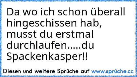 Da wo ich schon überall hingeschissen hab, musst du erstmal durchlaufen.....du Spackenkasper!!