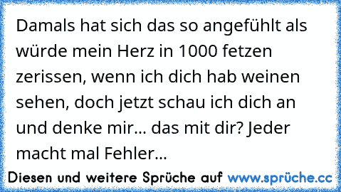 Damals hat sich das so angefühlt als würde mein Herz in 1000 fetzen zerissen, wenn ich dich hab weinen sehen, doch jetzt schau ich dich an und denke mir... das mit dir? Jeder macht mal Fehler...